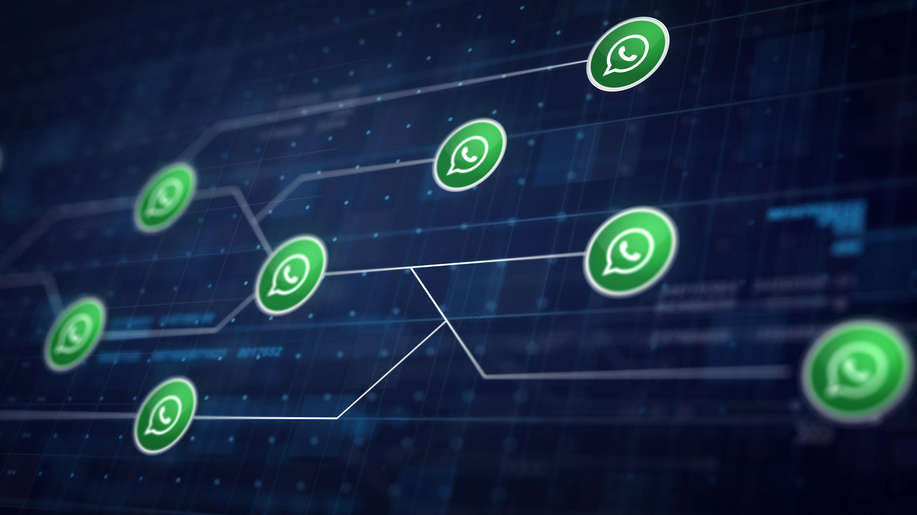 Как привлекать и квалифицировать лиды через WhatsApp: практическое руководство